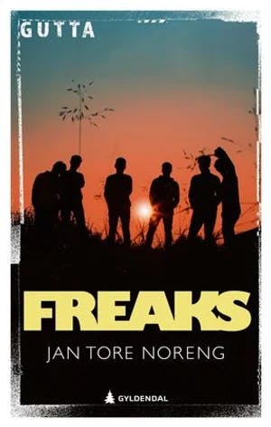 Omslag: "Freaks : ungdomsroman" av Jan Tore Noreng
